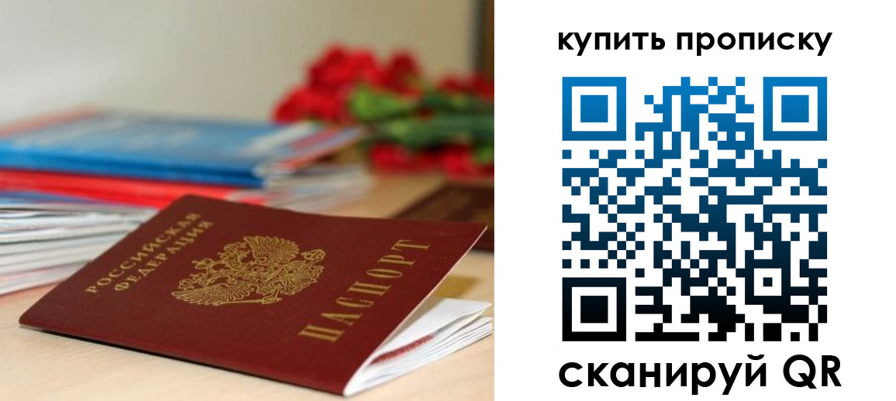 прописка в Нелидово